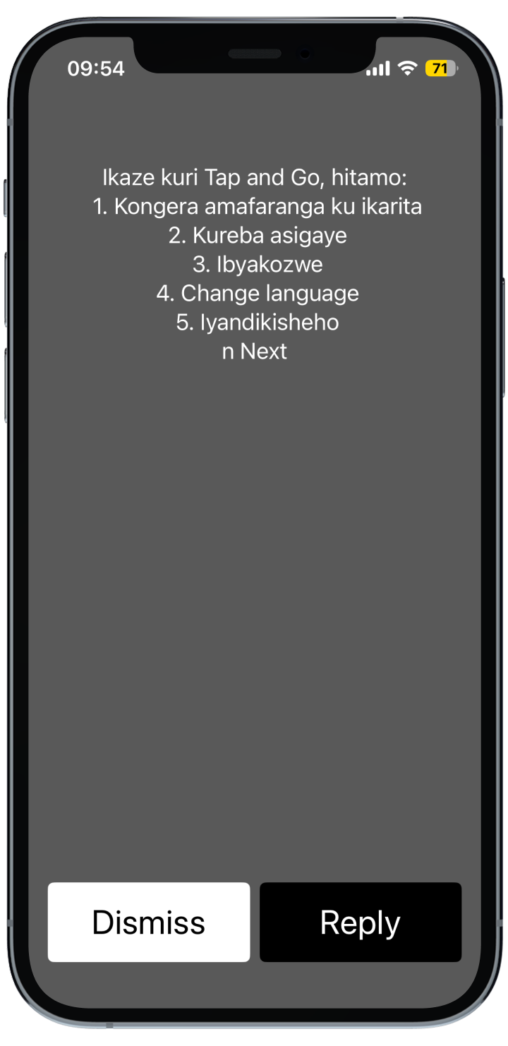USSD screen 1