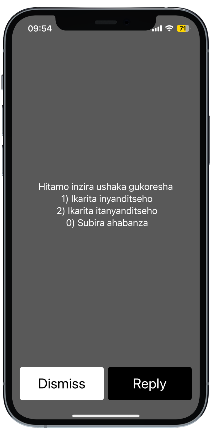 USSD screen 2