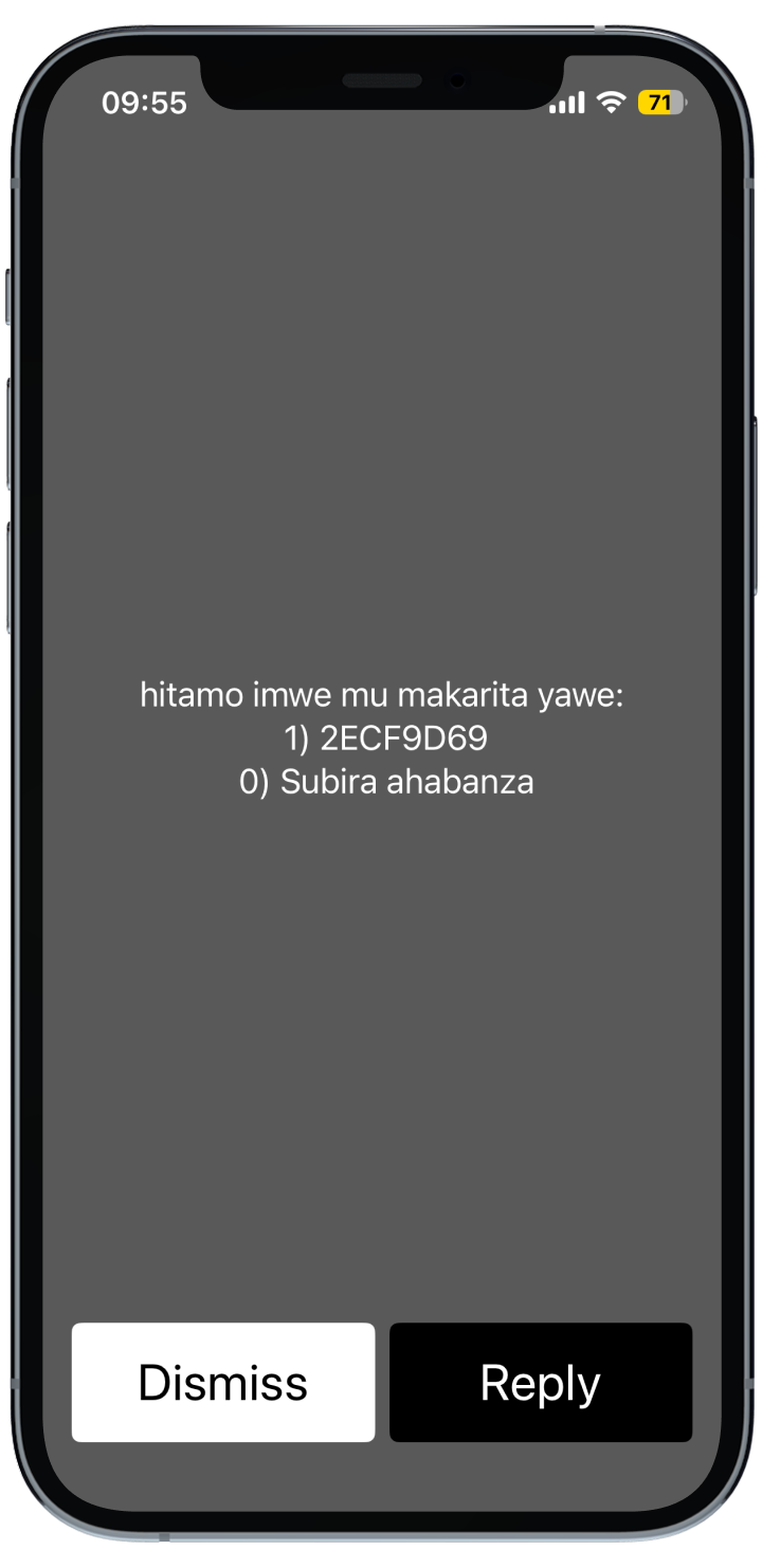 USSD screen 3